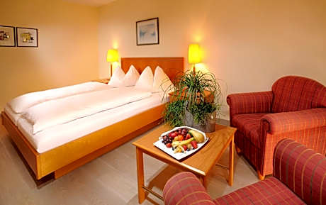 Double Room with Terrace