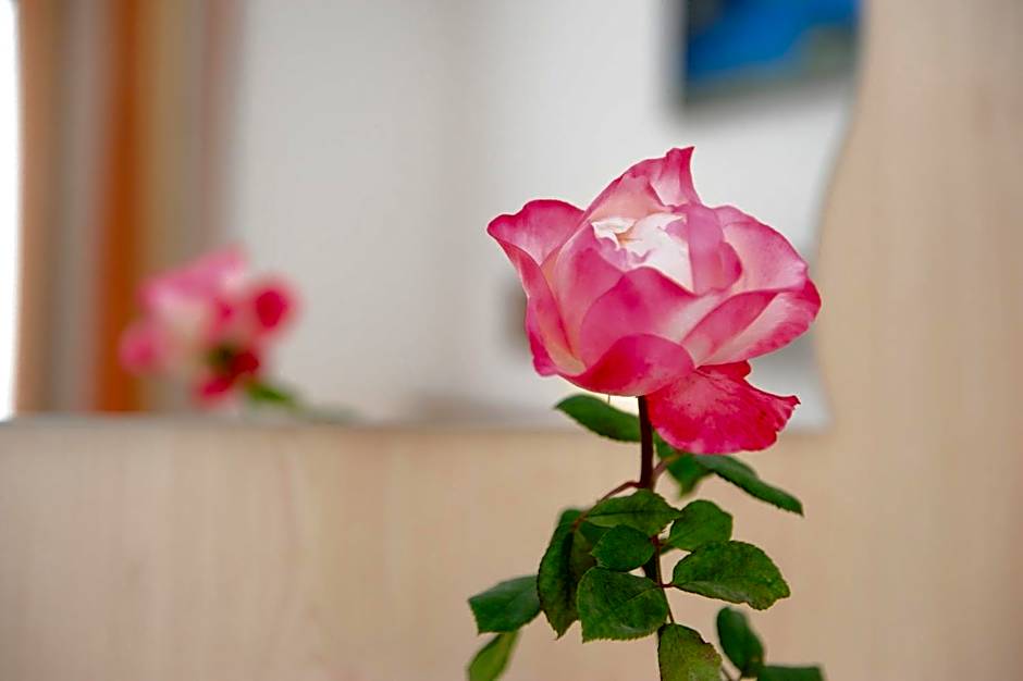 Hotel-Garni Seestrand