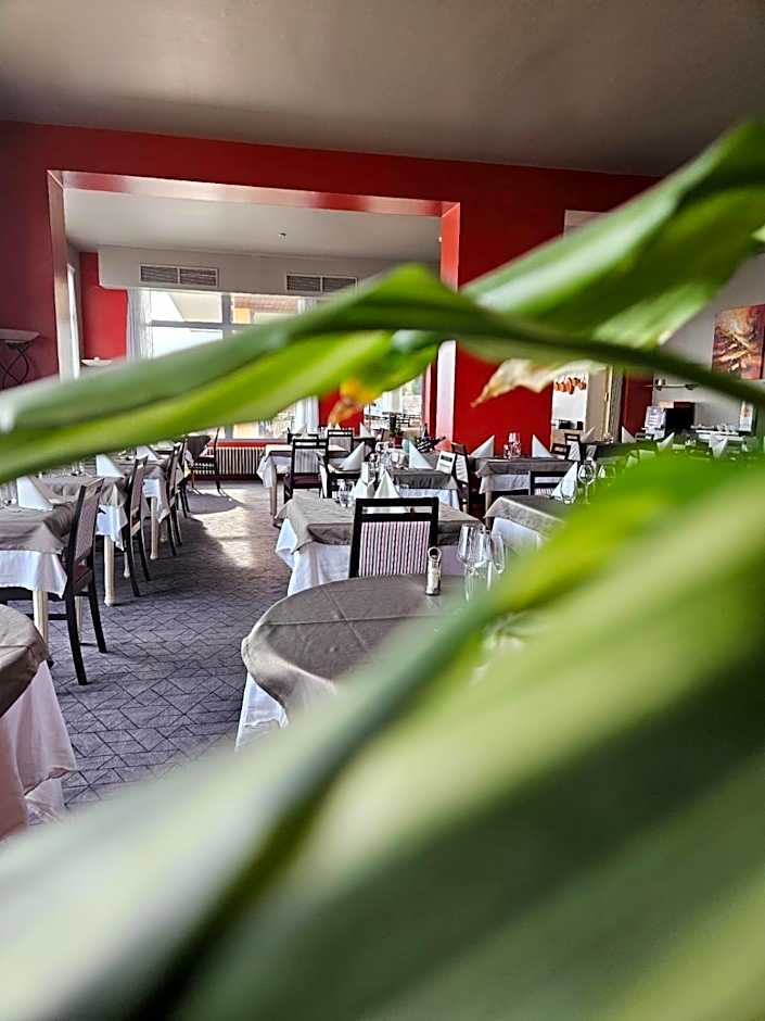 Alexain Hotel Restaurant & Wellness - Colmar Ouest