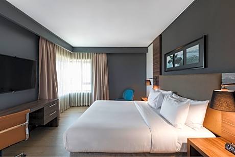 Room, 1 King Bed