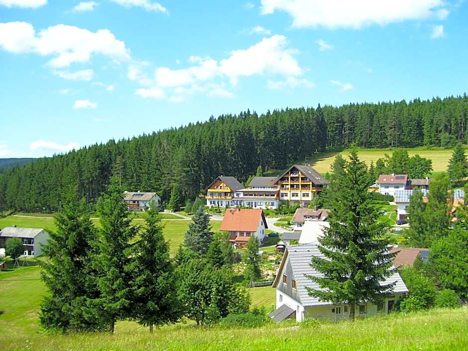 Auerhahn Bed and Breakfast - Black Forest - Waldhotel