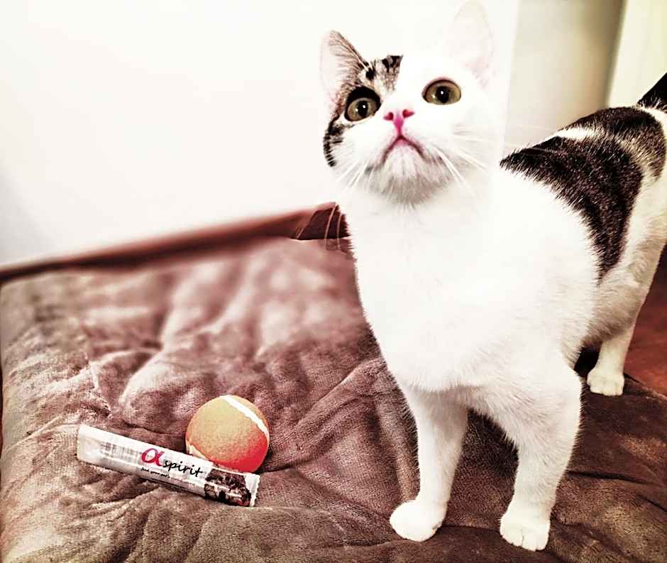 Hotel Matilde by gaiarooms