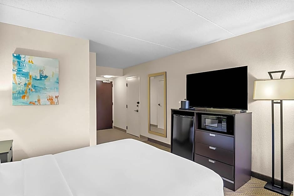 Comfort Inn Cadillac
