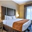 Comfort Suites Near Sam Houston Race Park