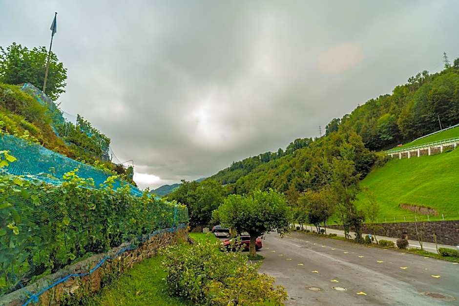 Seeblick SMART Hotel Rössli