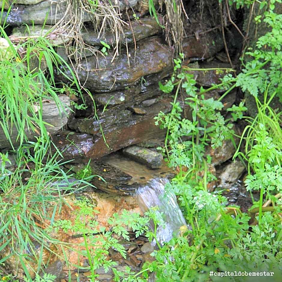 Casas da Escola - "A Escola" - Meãs