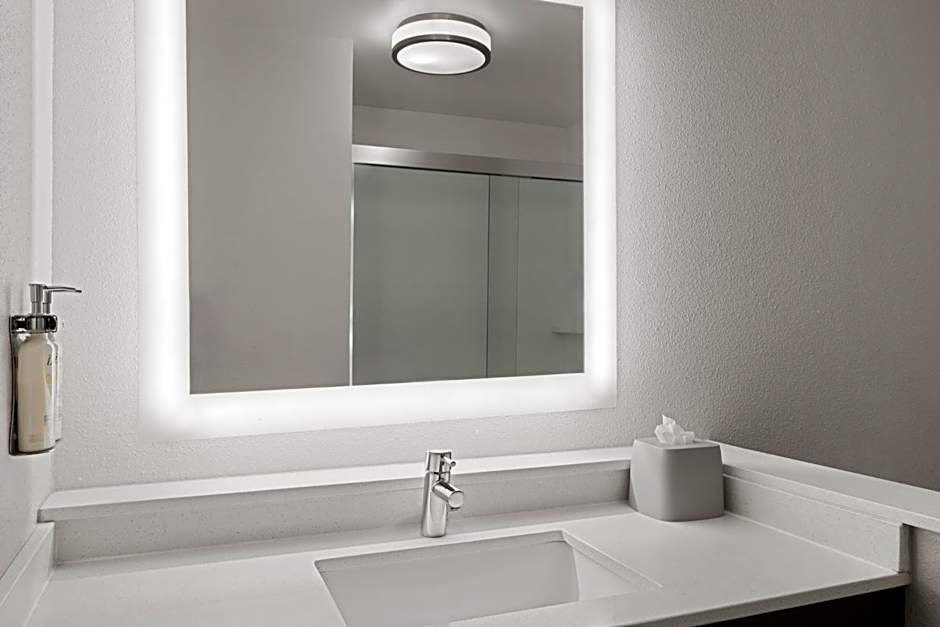 Holiday Inn Express & Suites Tampa East - Ybor City By IHG