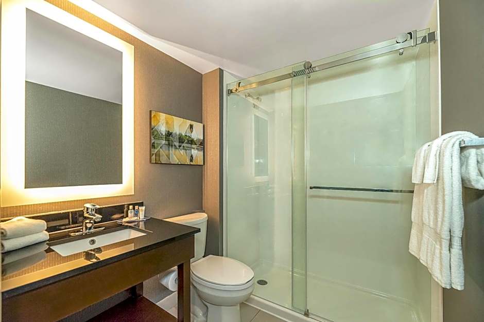 Comfort Inn Airport Winnipeg