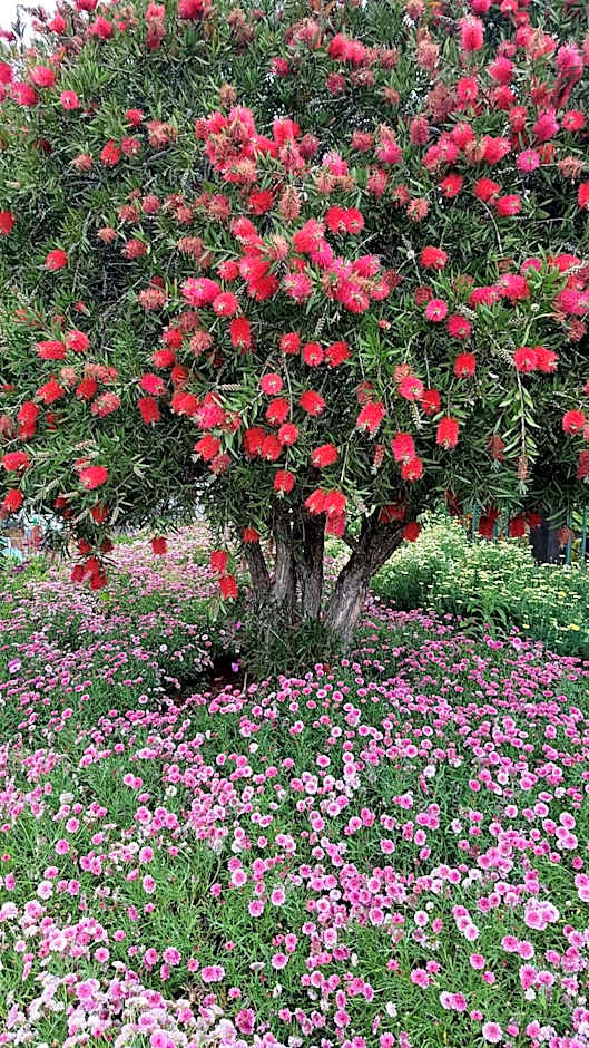 La Maison des Hôtes