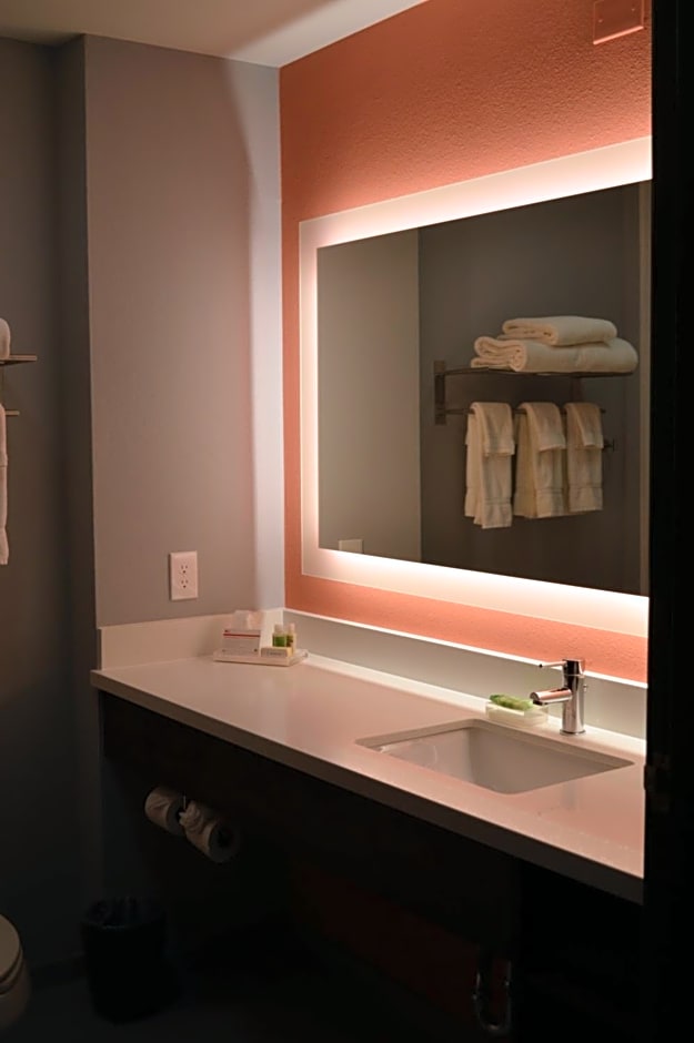 Holiday Inn Odessa By IHG