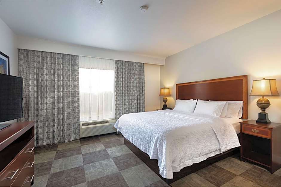 Photo 1 of 6 of 1 Bedroom 1 King Bed with Sofabed Suite