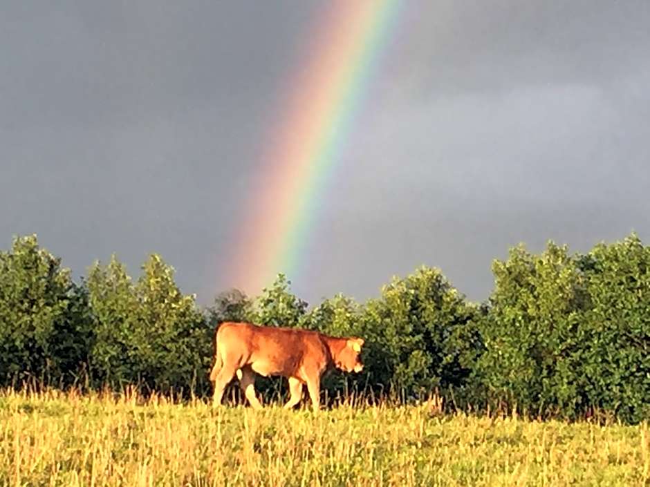 Siedlisko Pod Strzechą