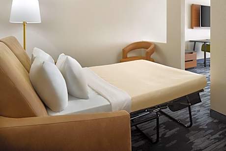 One-Bedroom King Suite with Sofa Bed