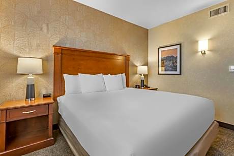Deluxe King Meeting Room, 2 Rooms - Accessible , Tub