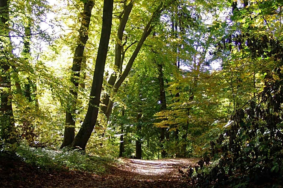 Landgasthof Spitzerwirt