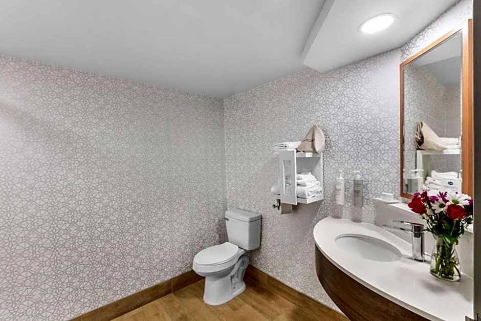 Hampton Inn By Hilton Knoxville-Airport