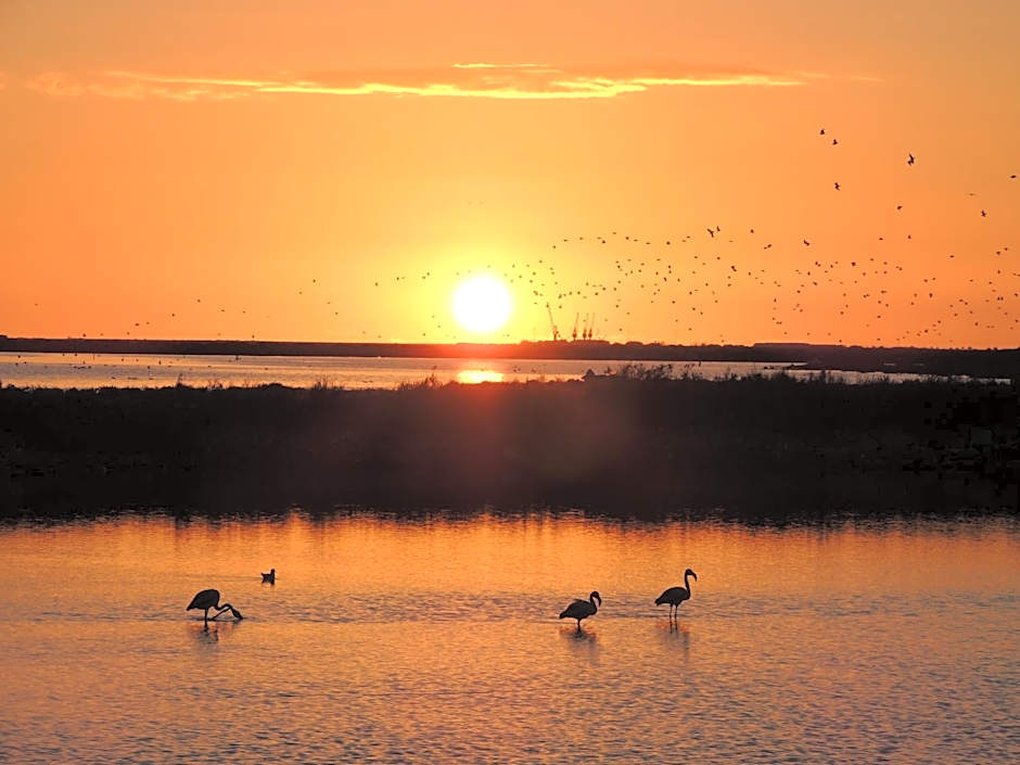 Hotel Cidade de Olhão