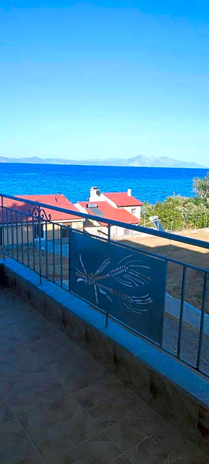 Φάρος Αρκίτσας