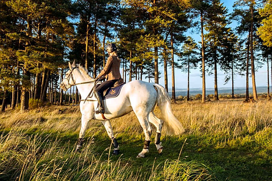 The Gleneagles Hotel