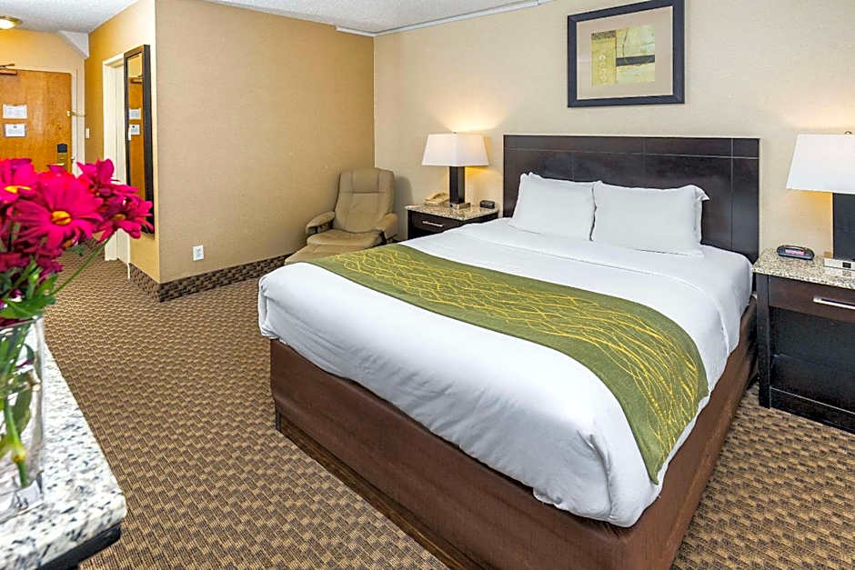 Comfort Inn And Suites