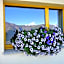 Hotel Slalom