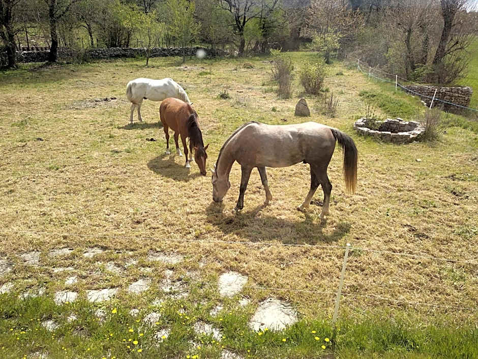 Gîte de Navacelles