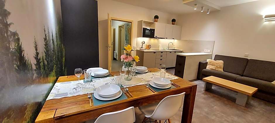Wellness apartmány Říčky v Orlických horách