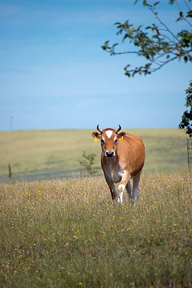 Golchener Hof - Familienhotel & Bauernhofurlaub in Mecklenburg