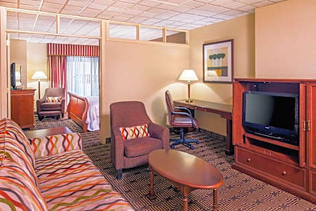 Club level, Suite, 1 King, City view, Low floor