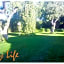 MyLife B&B Country House