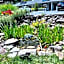 Azalea Garden Inn