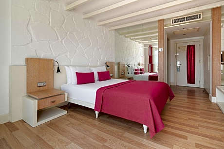 Standard Double or Twin Room with Land View