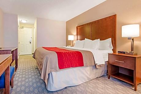 1 King Bed, Nonsmoking