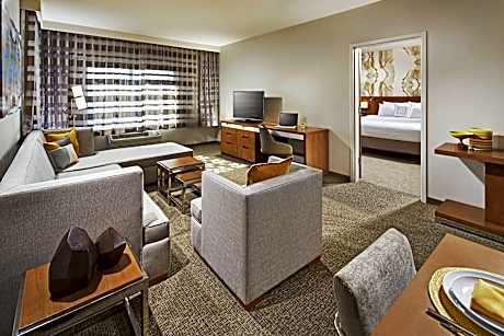 1 Bedroom Executive Suite, 1 Bedroom Executive Suite, 1 King, Sofa bed