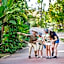 Hotel Selwo Lodge - Animal Park Tickets Included