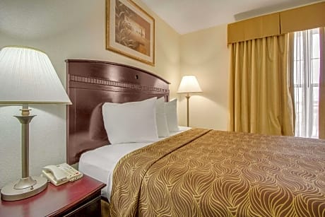 1 Queen Bed, Suite, Nonsmoking