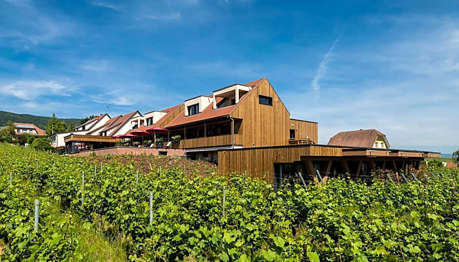 James Vignoble Hôtel - Eguisheim