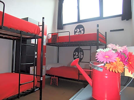 Single Bed in 4-Bed Dormitory Room