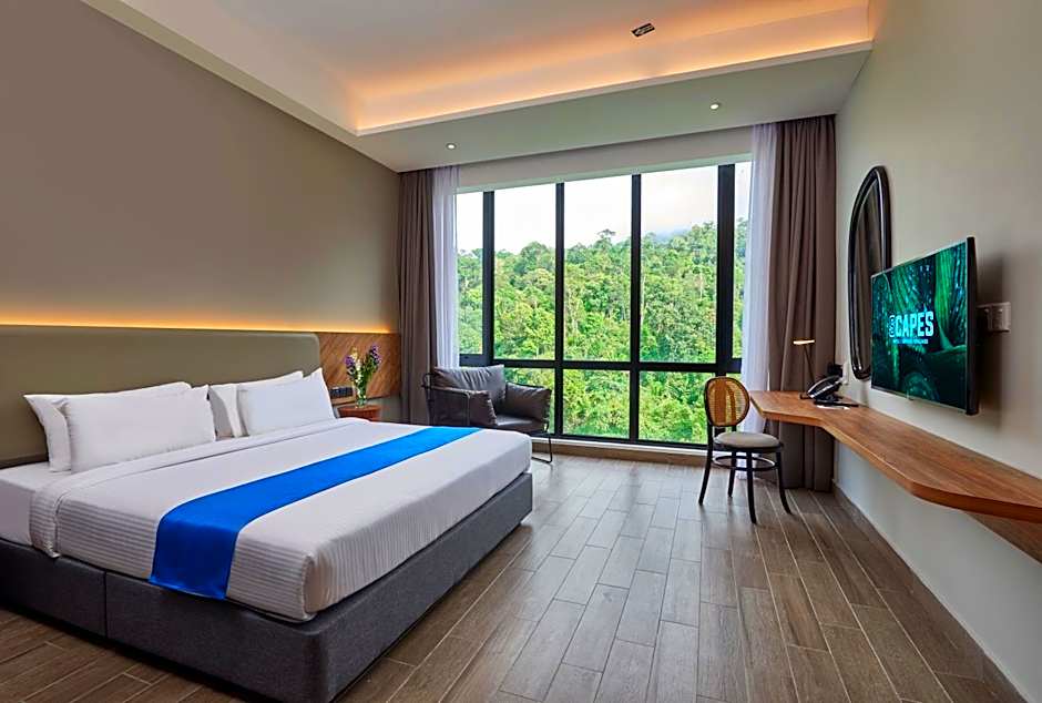 Photo 1 of 4 of Deluxe 1 King Bed