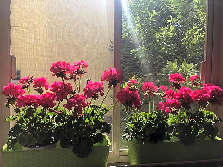 Bed & Breakfast De Nittis