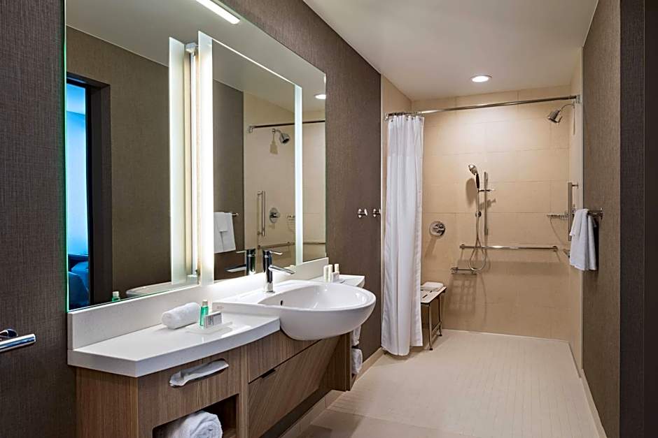 SpringHill Suites by Marriott Dallas Richardson/University Area