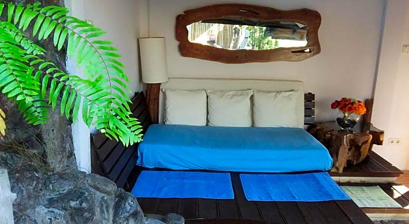 The Dream Home Wooden Classic Villa