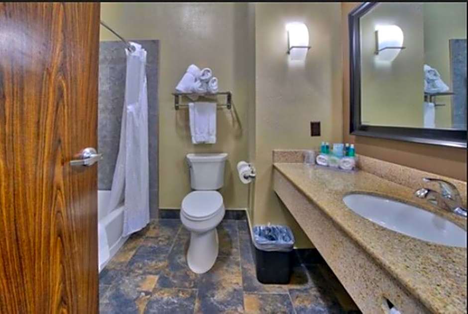 Holiday Inn Express and Suites Lubbock South By IHG