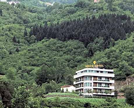 Voice Hotel