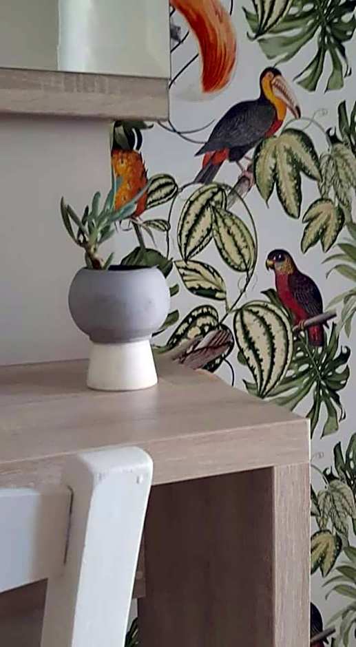 Nissi Collection Rooms