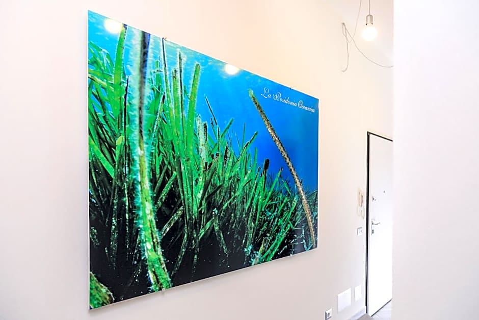 La Posidonia Oceanica