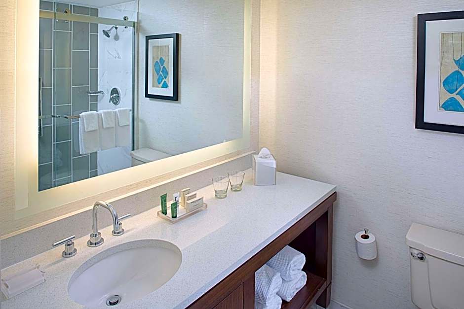 Hilton Boston/Dedham