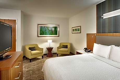 Executive Suite, 1 King, Sofa bed