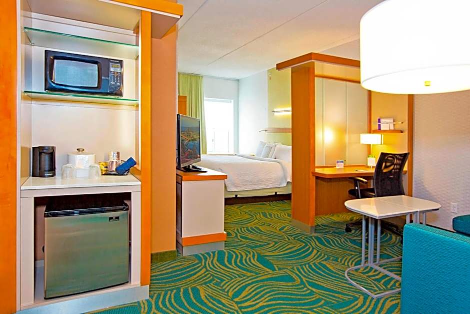 SpringHill Suites by Marriott Pittsburgh Mt. Lebanon