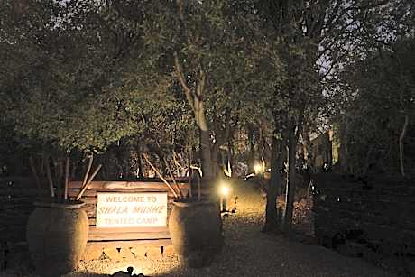 Shala Mushe Tented Camp & Camp